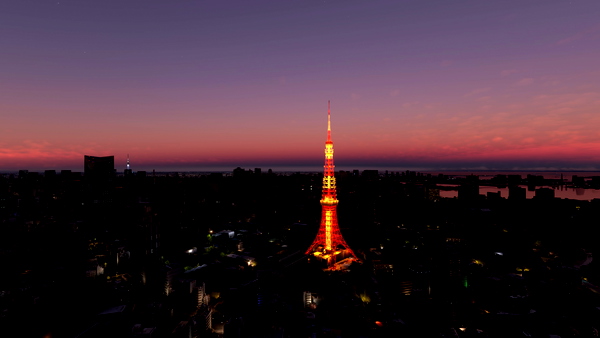 Tokyo Night Light Enhancement - for Microsoft Flight Simulator