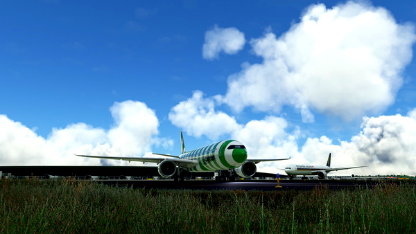 vPilot Model Matching (IVAO MTL) vmr - for Microsoft Flight Simulator