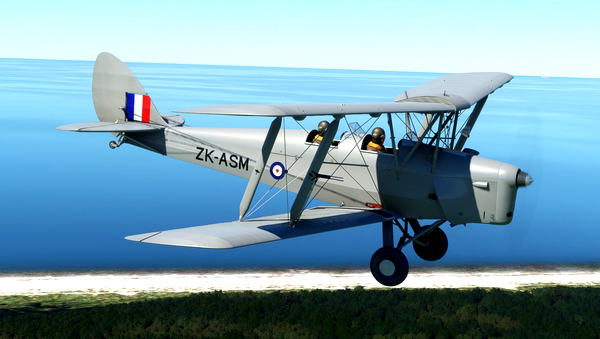 ZK-ASM (New Zealand) | Ant's Airplanes Tiger Moth DH-82 - for Microsoft Flight Simulator