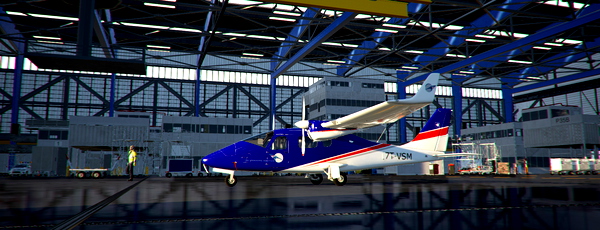 TECNAM P2006T- 7TVSM - SKY TRAINING AVIATION - for Microsoft Flight Simulator