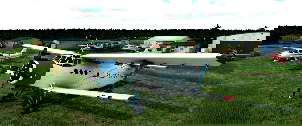 An-2 RA-01104 Livery - for Microsoft Flight Simulator