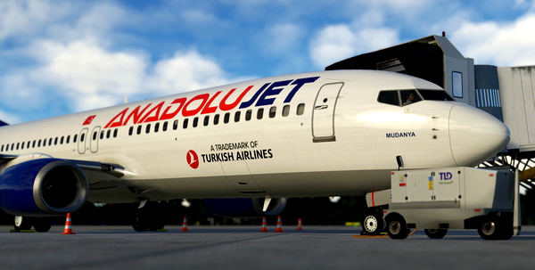 AnadoluJet TC-JHA - for Microsoft Flight Simulator