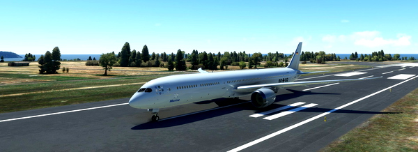 B787-10 Bundesmarine / German Navy (fictional) - for Microsoft Flight Simulator
