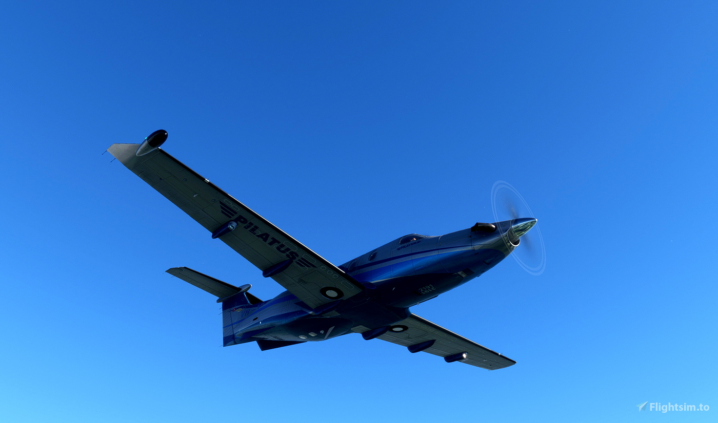 PILATUS PC-12 - Frasca Flight Simulation