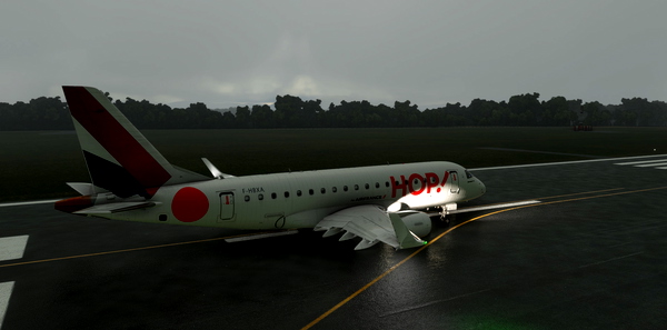 FlightSim Studio E170 HOP! Fleet Pack - for Microsoft Flight Simulator