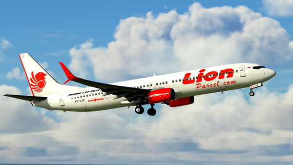 Lion Air (lionparcel.com decals) / PK-LSZ - for Microsoft Flight Simulator