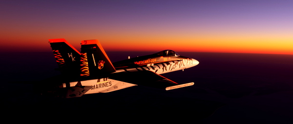 Marine All Weather Fighter Attack Squadron 224 VMFA(AW)224 F-18C CAG Liveries - for Microsoft Flight Simulator