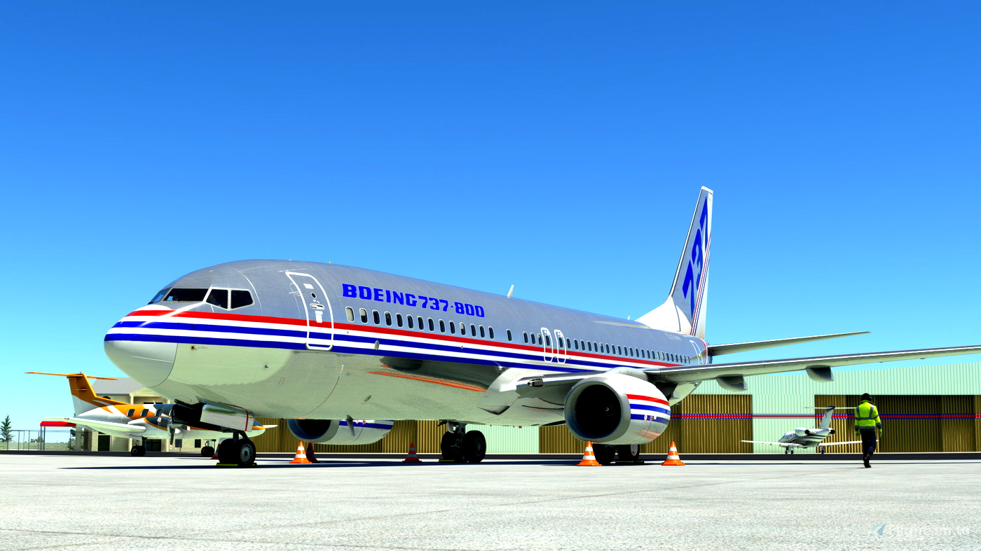 PMDG 737-800 Boeing Bare Metal House Livery for Microsoft Flight ...