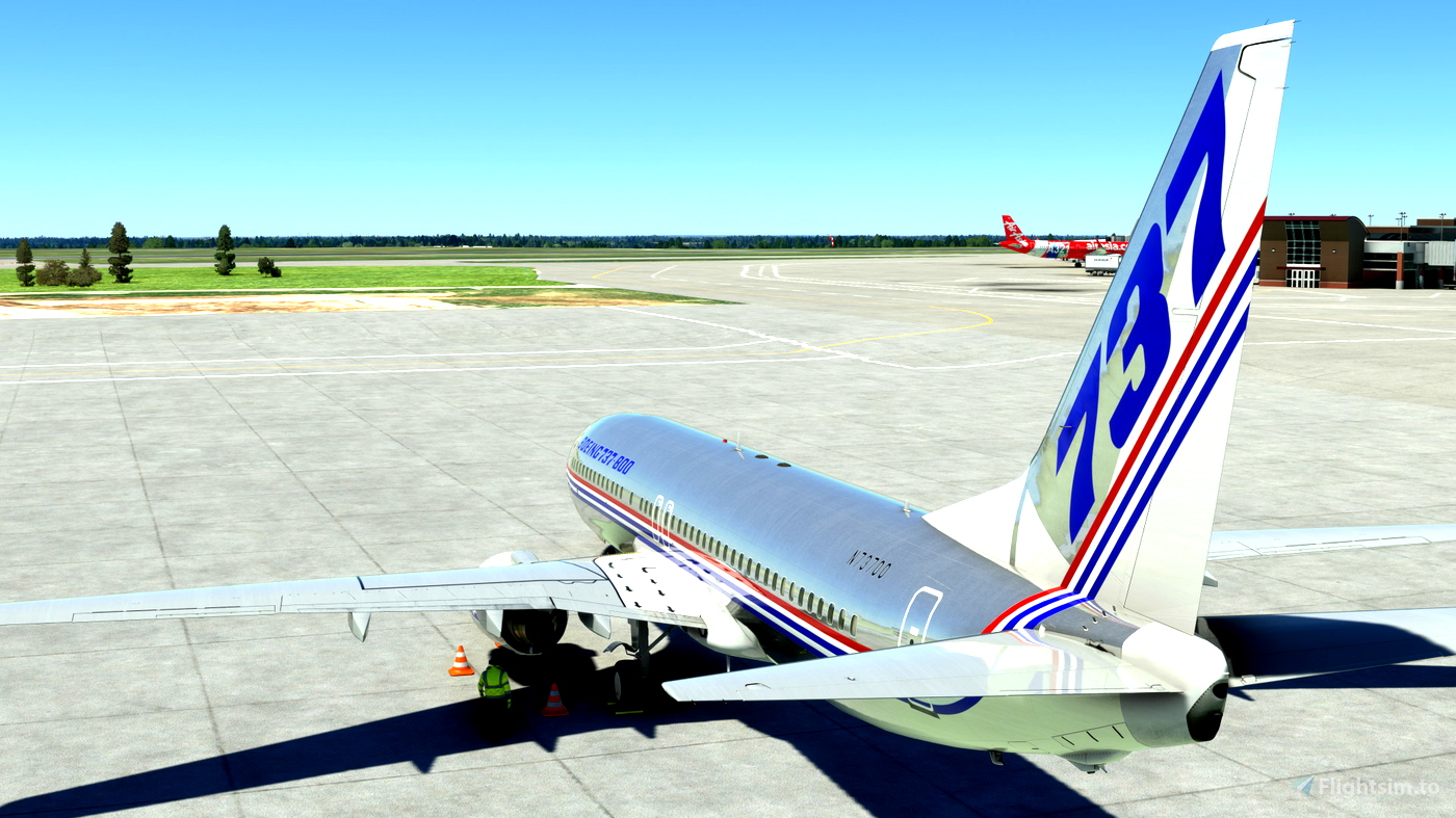 Pmdg 737-800 Boeing Bare Metal House Livery For Microsoft Flight 