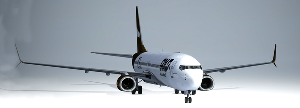 PMDG Boeing 737-900 - Gold Virtual Airlines - 10 Years - for Microsoft Flight Simulator