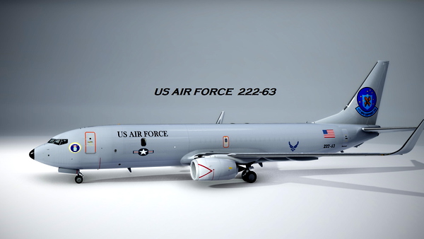 PMDG Variation of Air Force Support B738 - for Microsoft Flight Simulator