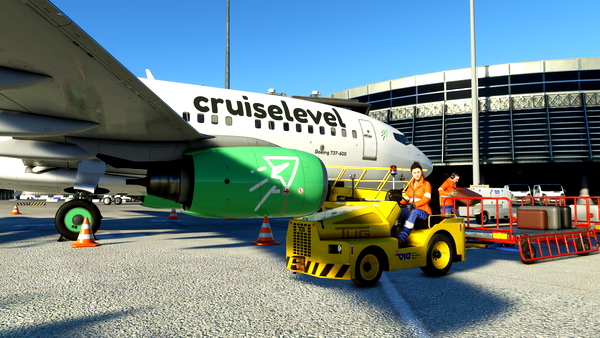 PMDG 737-600 Cruiselevel Virtual Airline - for Microsoft Flight Simulator