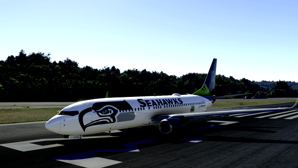 Seattle Seahawks 737-800 *Fictional* - for Microsoft Flight Simulator