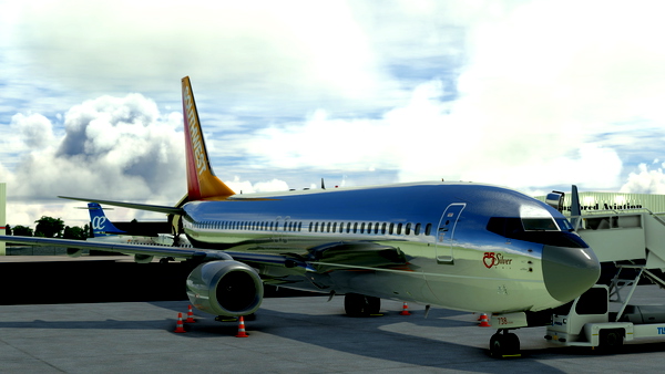 Southwest Airlines Silver One *Retro* - for Microsoft Flight Simulator
