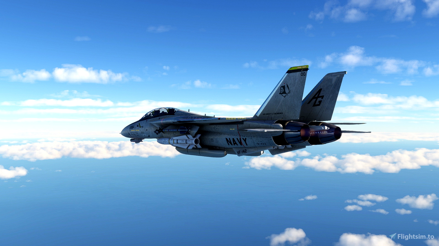 DC Designs F-14D Super Tomcat / VF-142 Fictional for Microsoft Flight ...