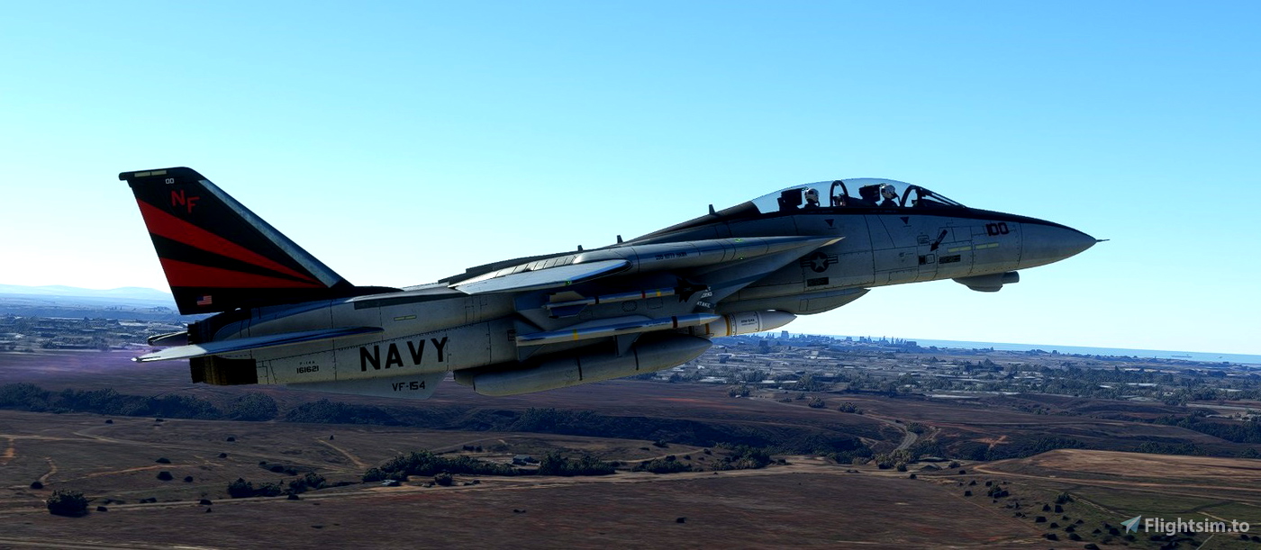 DCD F-14A Tomcat VF-154 Black Knights CAG Bird. for Microsoft Flight ...