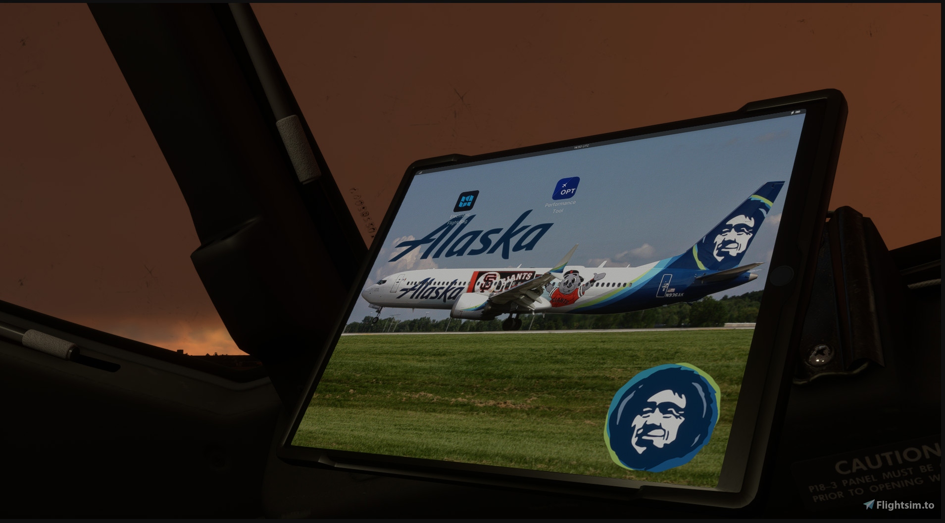 boeing 737 flight simulator cockpit